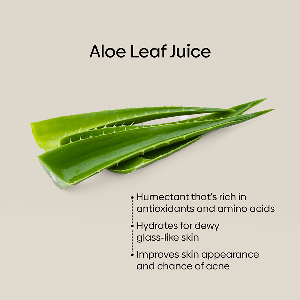 Daily Hydration Set for Ultimate Moisture and Luxurious Skin Glow - Equanimist